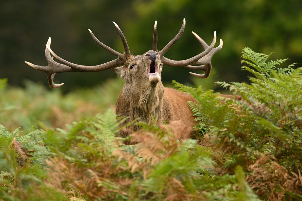 Фотография автора Lukasz Wojcik