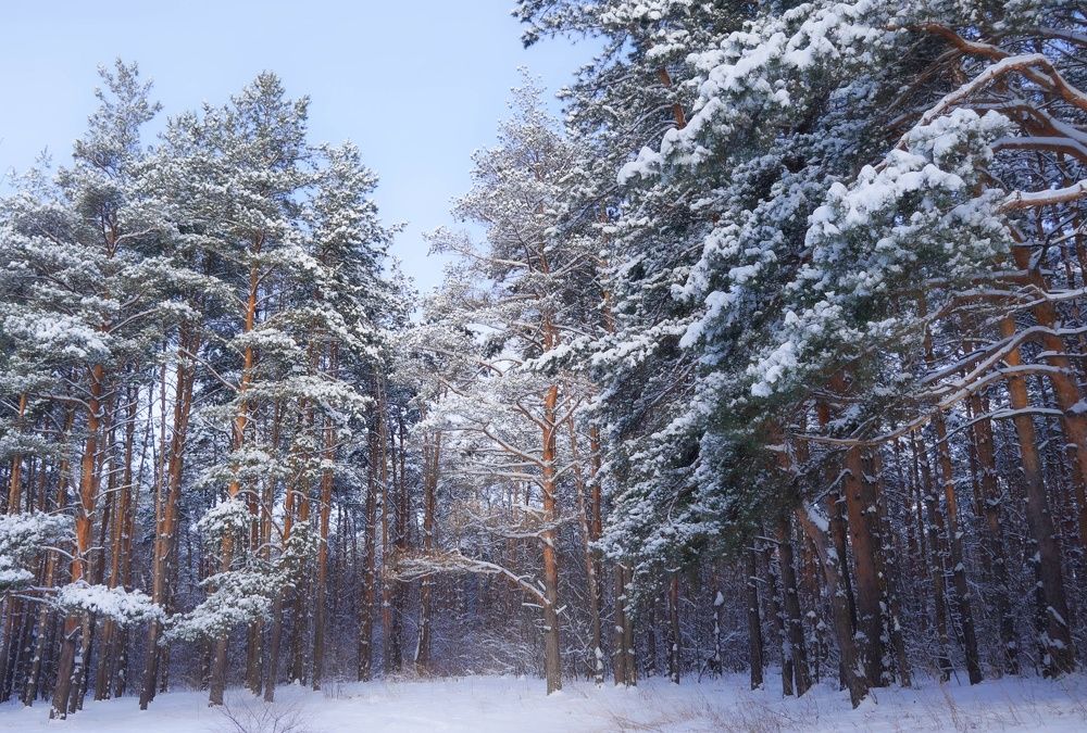 Photograph by Ирина Грошева