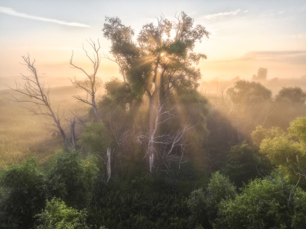 Photograph by Наталия Полякова