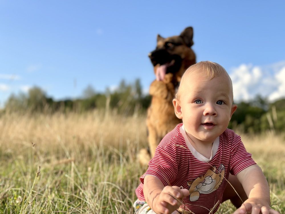 Photograph by София Лысова