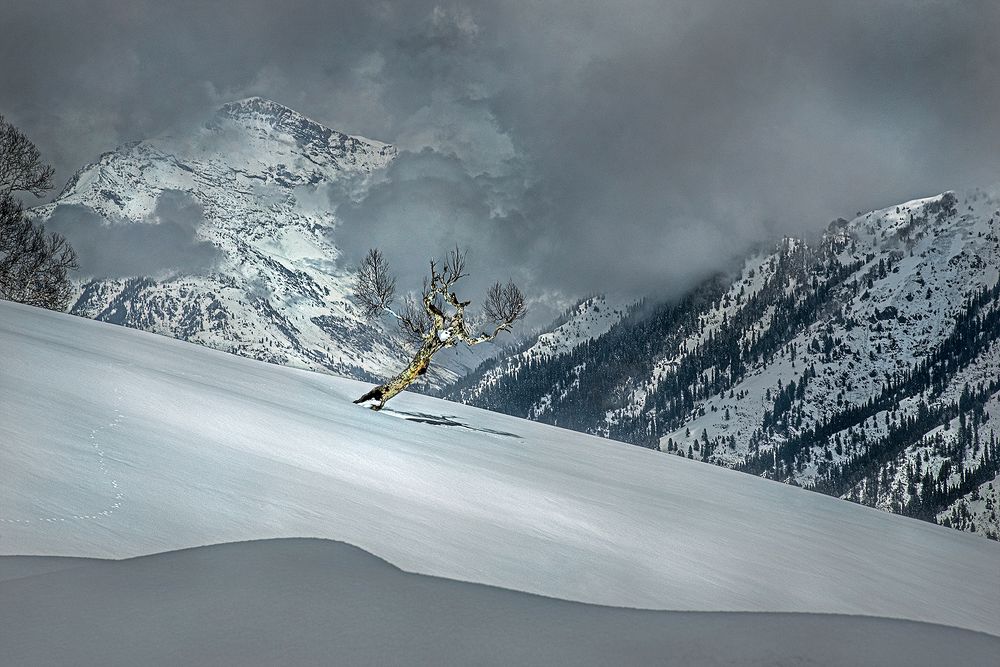 Photograph by GOUTAM PAL