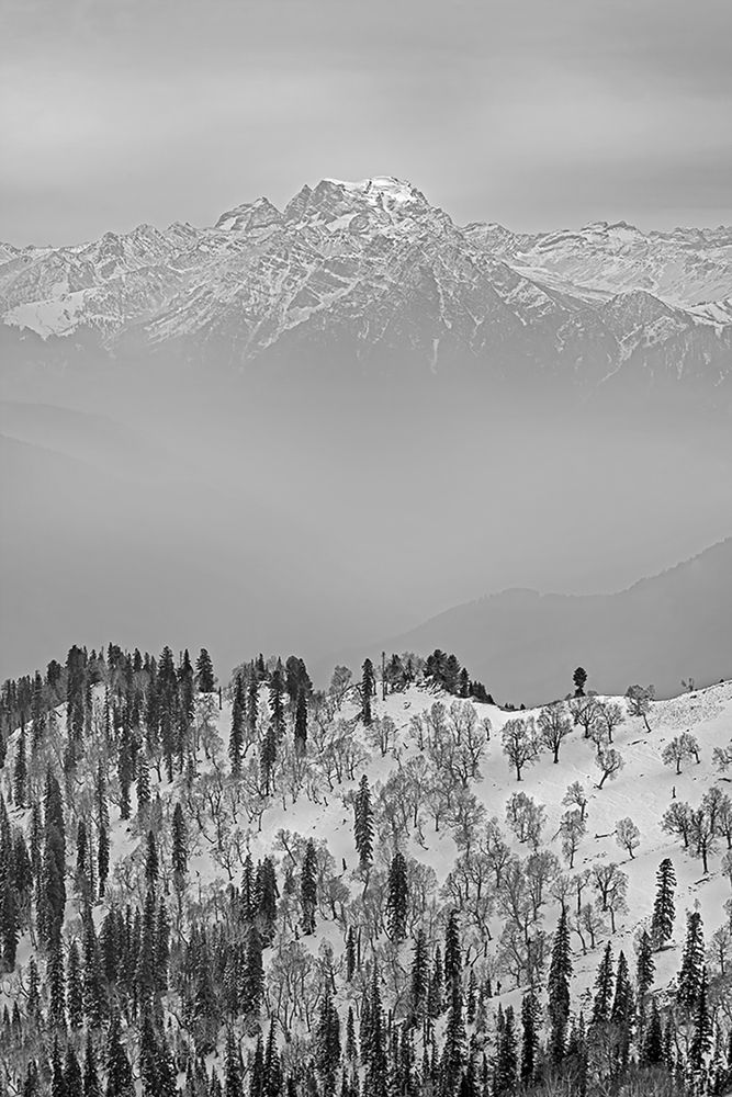 Photograph by GOUTAM PAL