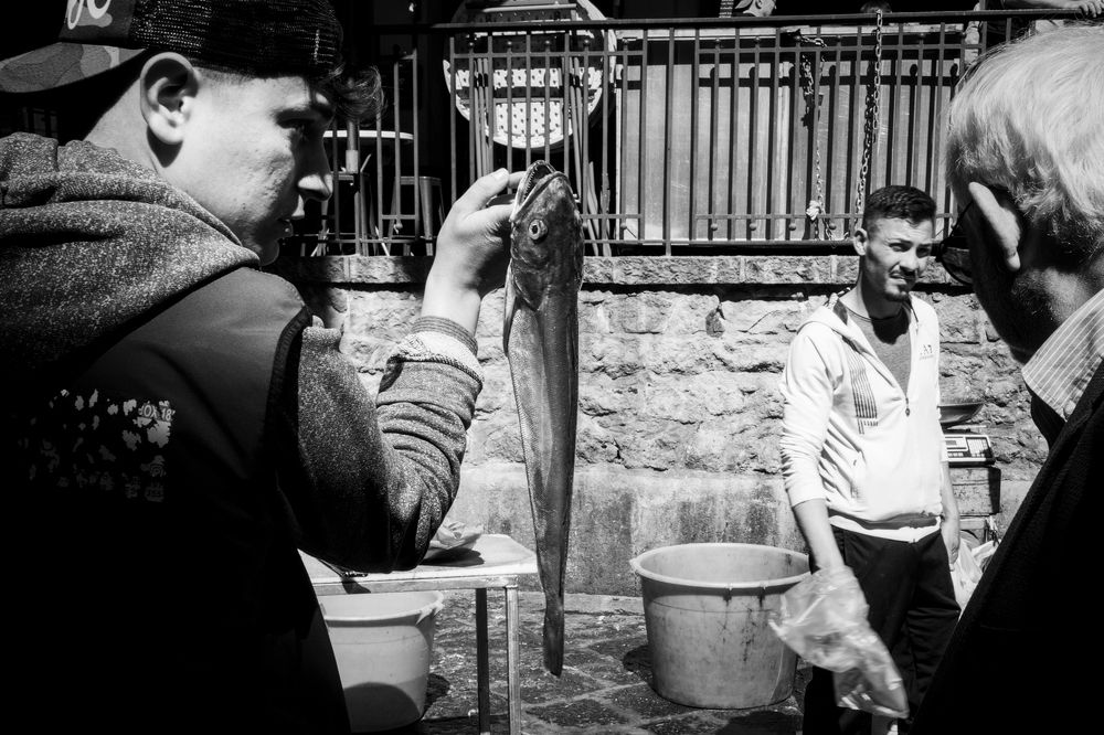 Photograph by ANDREA NIGRA