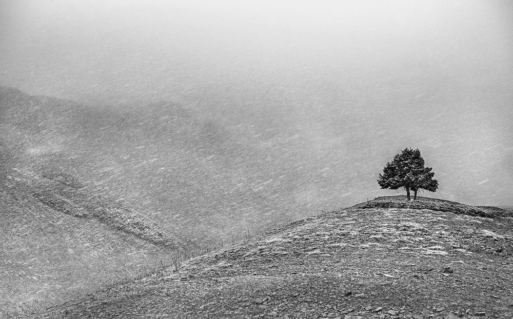 Photograph by GOUTAM PAL