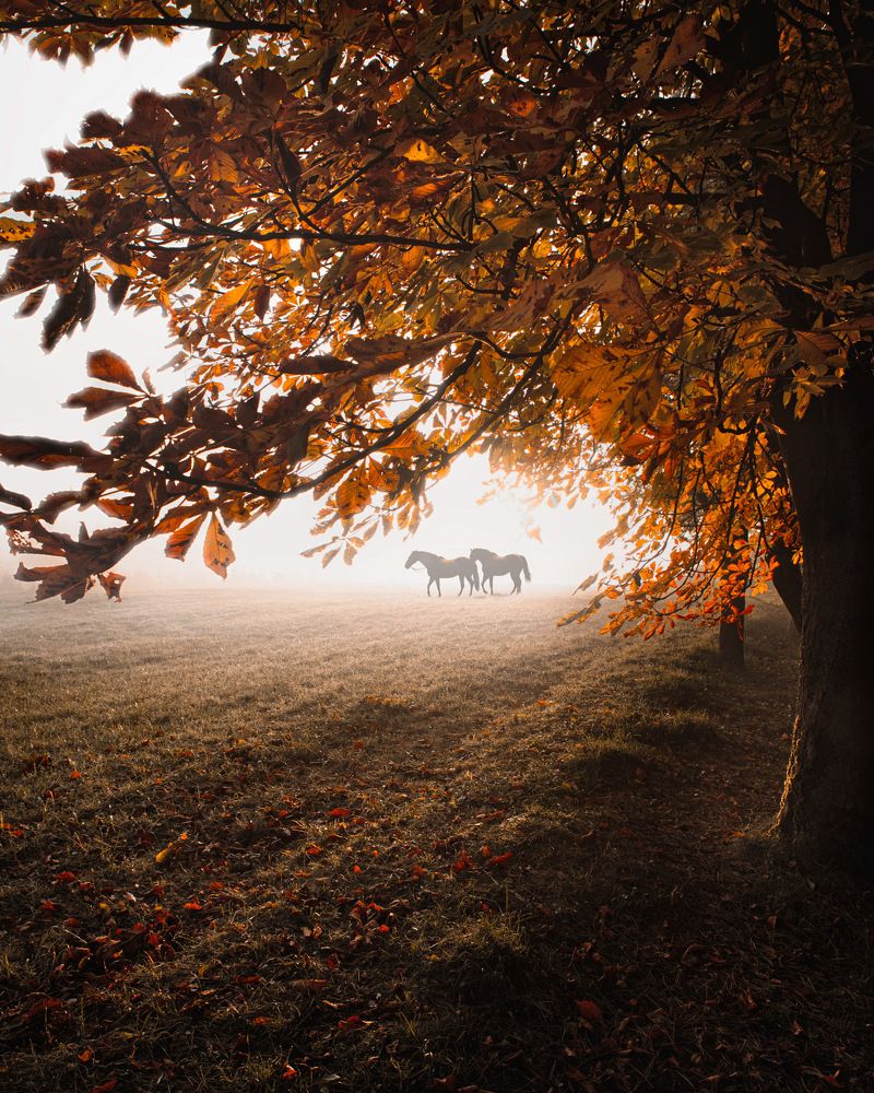 Photograph by Martina Pristachová