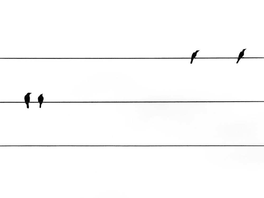 Photograph by Meryll Jo Rado