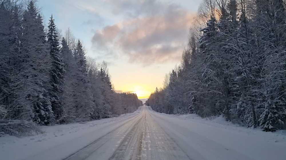 Фотография автора Mila Oreshkina