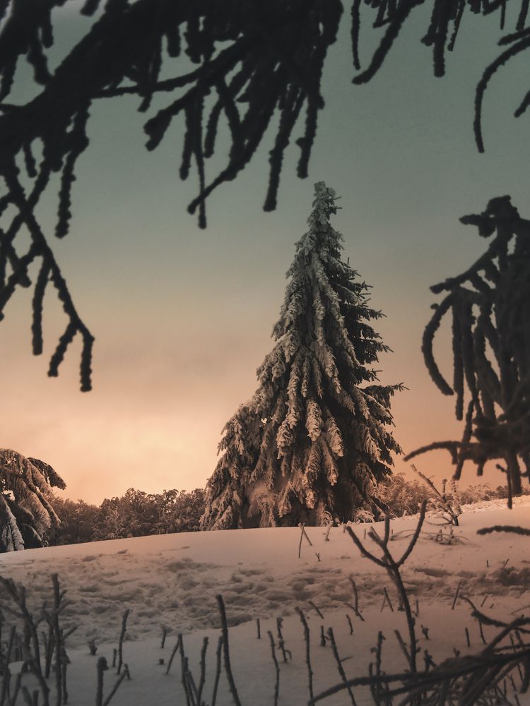 Photograph by Martina Pristachová