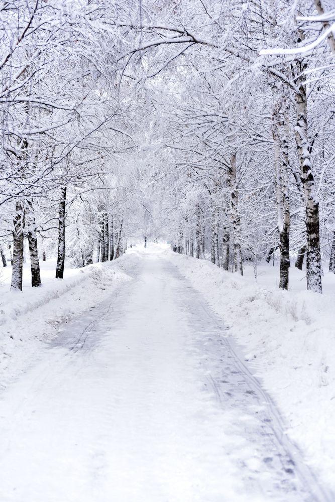 Фотография автора Mila Oreshkina