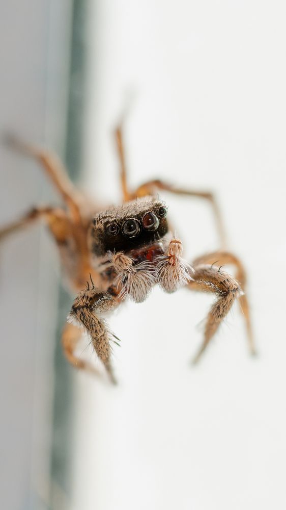 Photograph by Эмилия Лаце