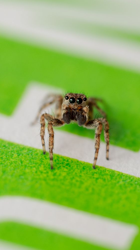 Photograph by Эмилия Лаце