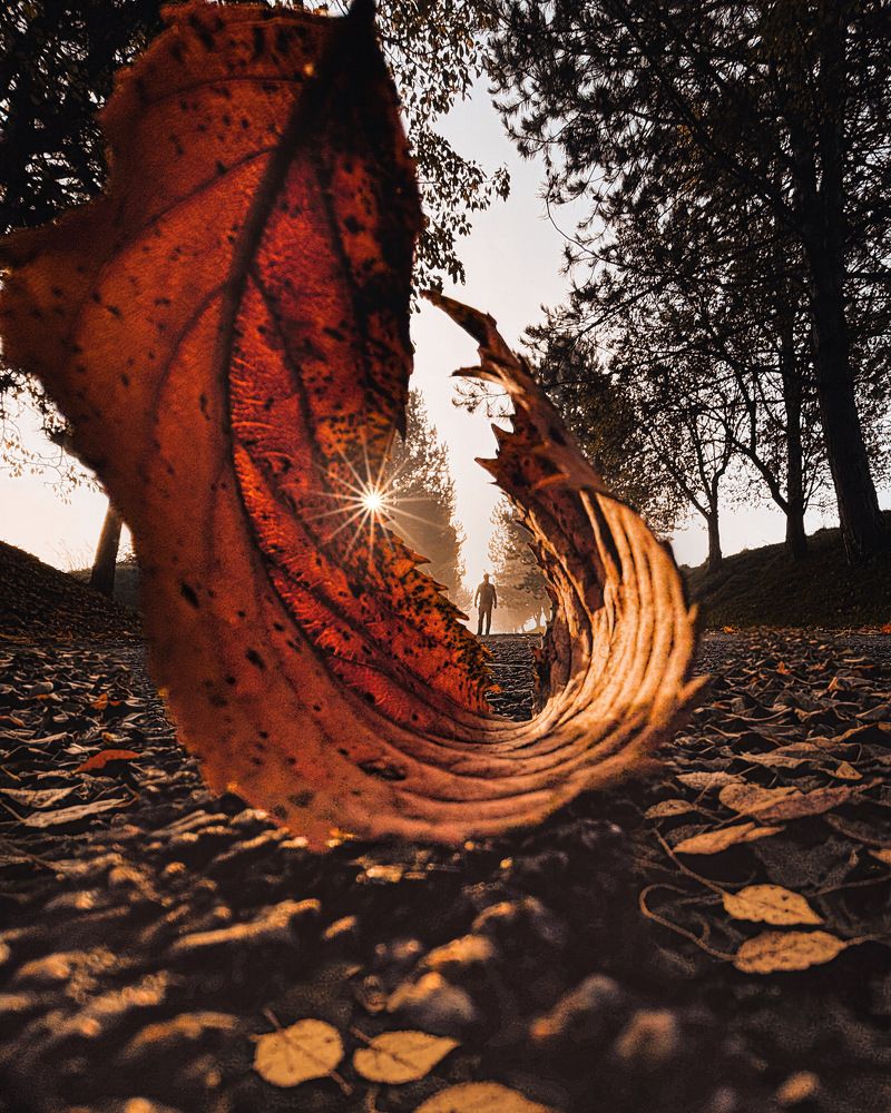 Photograph by Martina Pristachová