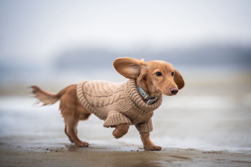 Фотография автора Anna Darahan