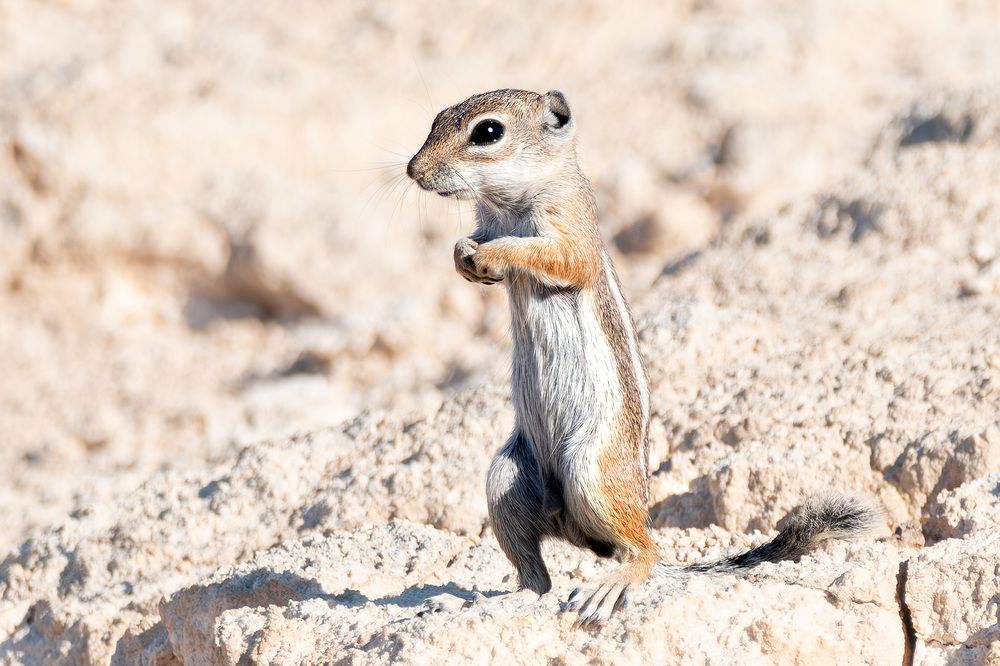 Photograph by RyanCarterMedia