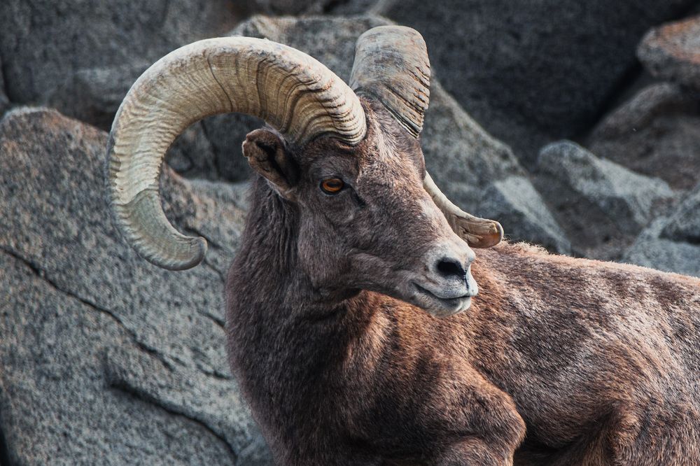 Photograph by RyanCarterMedia