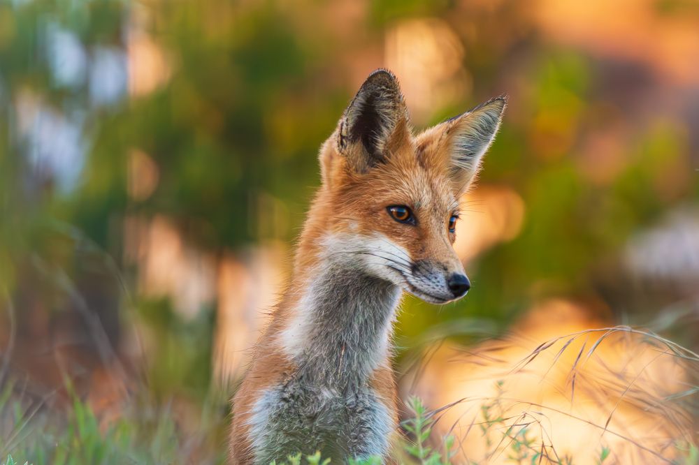 Photograph by RyanCarterMedia