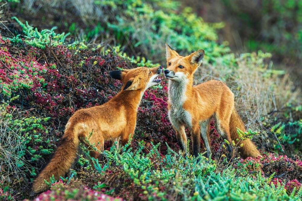 Photograph by RyanCarterMedia