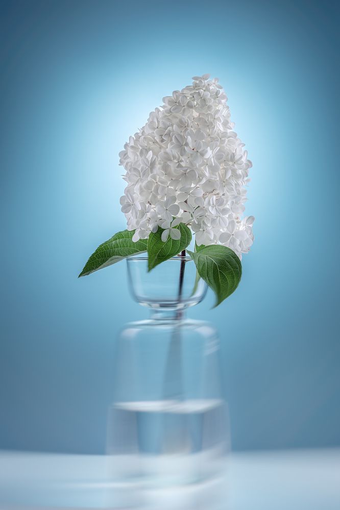 Фотография автора Ольга Яр