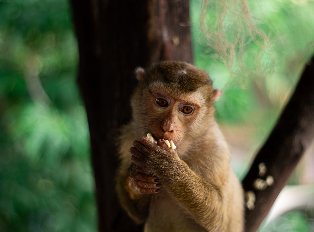 Фотография автора Анастасия Полякова