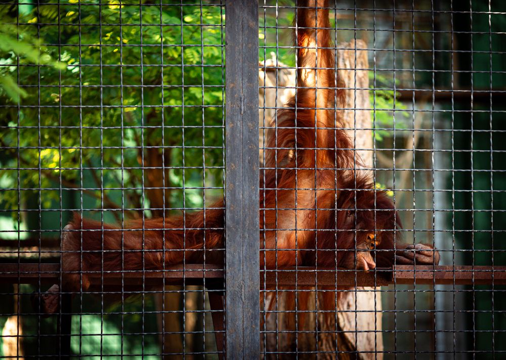 Фотография автора Анастасия Полякова