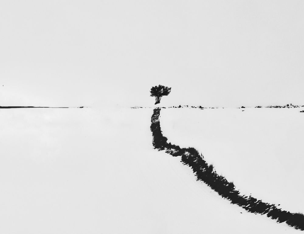 Photograph by Mohammadzaher Mohyadini