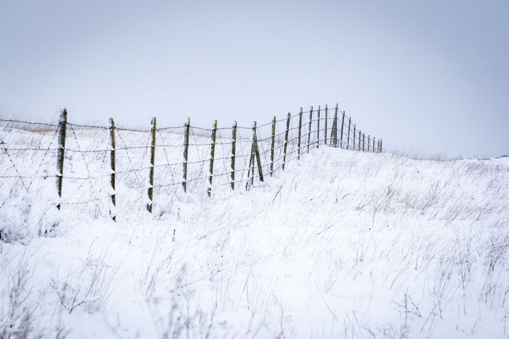 Photograph by Georgi Ivanov