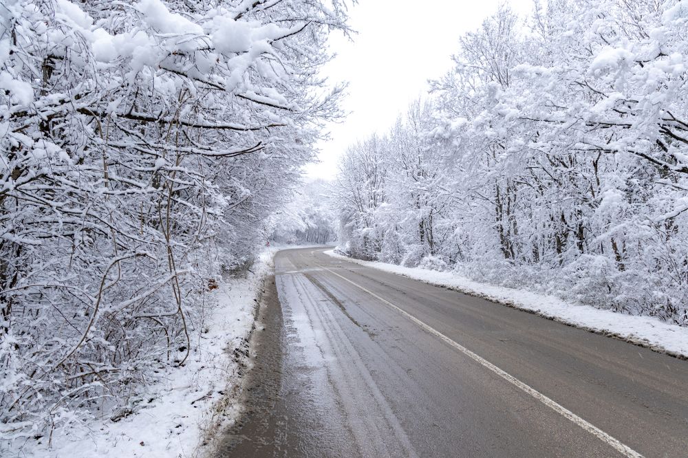 Photograph by Georgi Ivanov