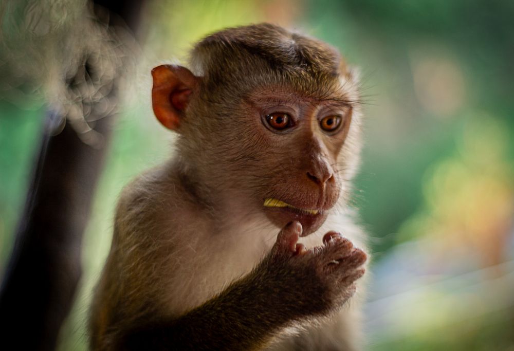 Фотография автора Анастасия Полякова