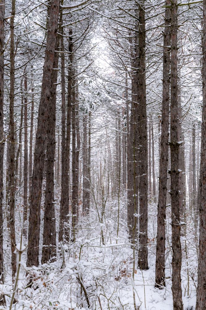 Photograph by Georgi Ivanov