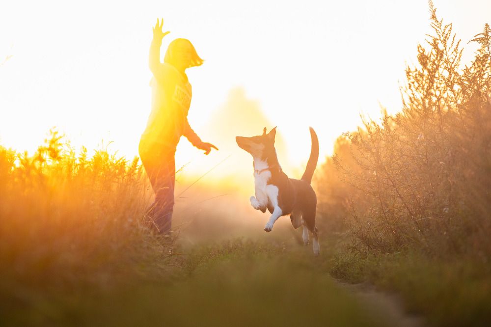 Фотография автора Татьяна Фролова