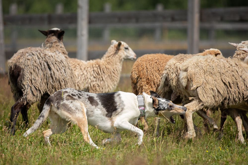 Фотография автора Татьяна Фролова