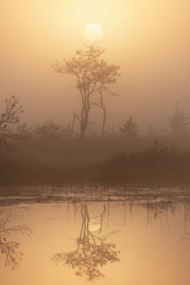 Photograph by Anton Gavrilov