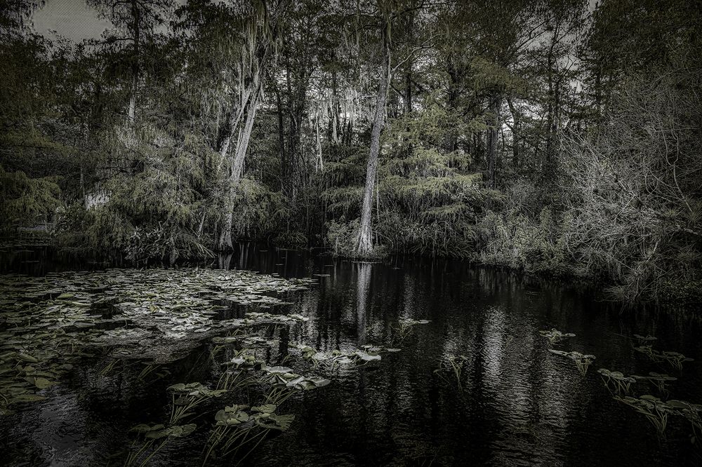 Фотография автора Ray Asiala