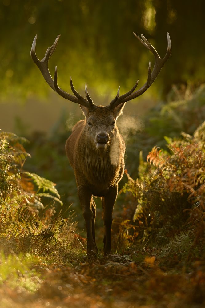 Фотография автора Lukasz Wojcik