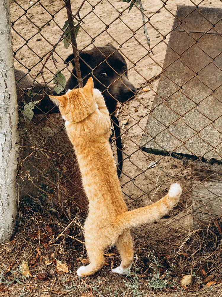 Фотография автора Ольга Панасюк