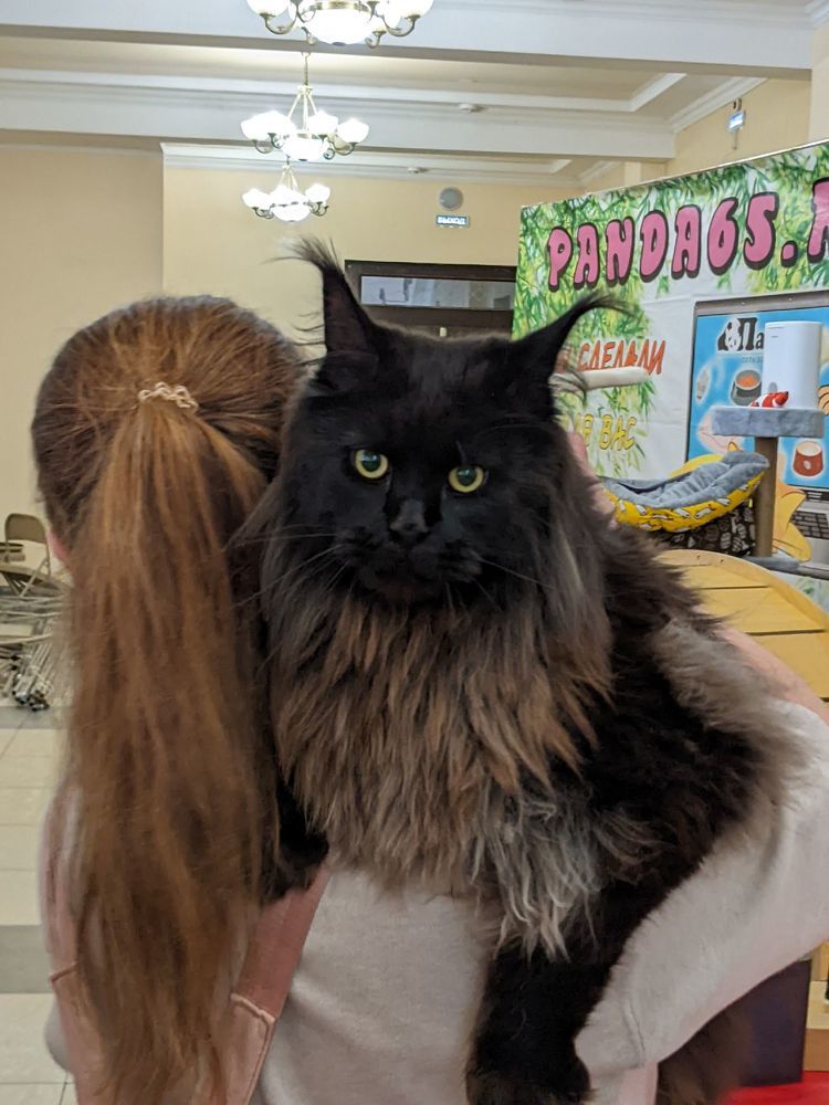 Photograph by Антон