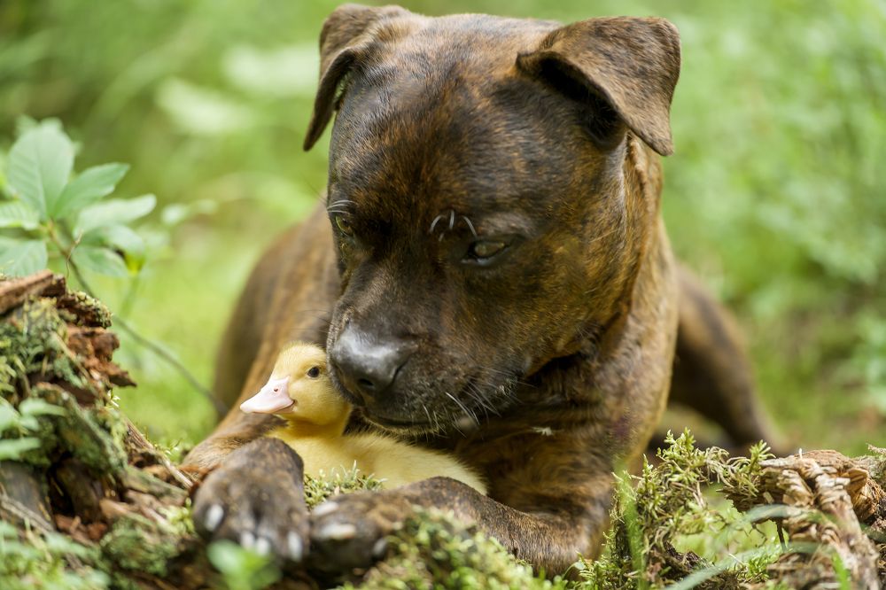 Photograph by Марина Суздаль