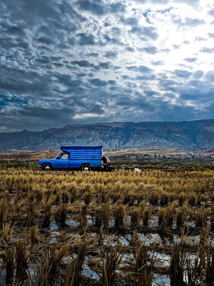 Фотография автора Mohammad hosein