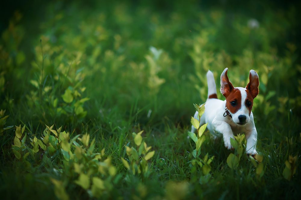 Фотография автора Анастасия Полякова
