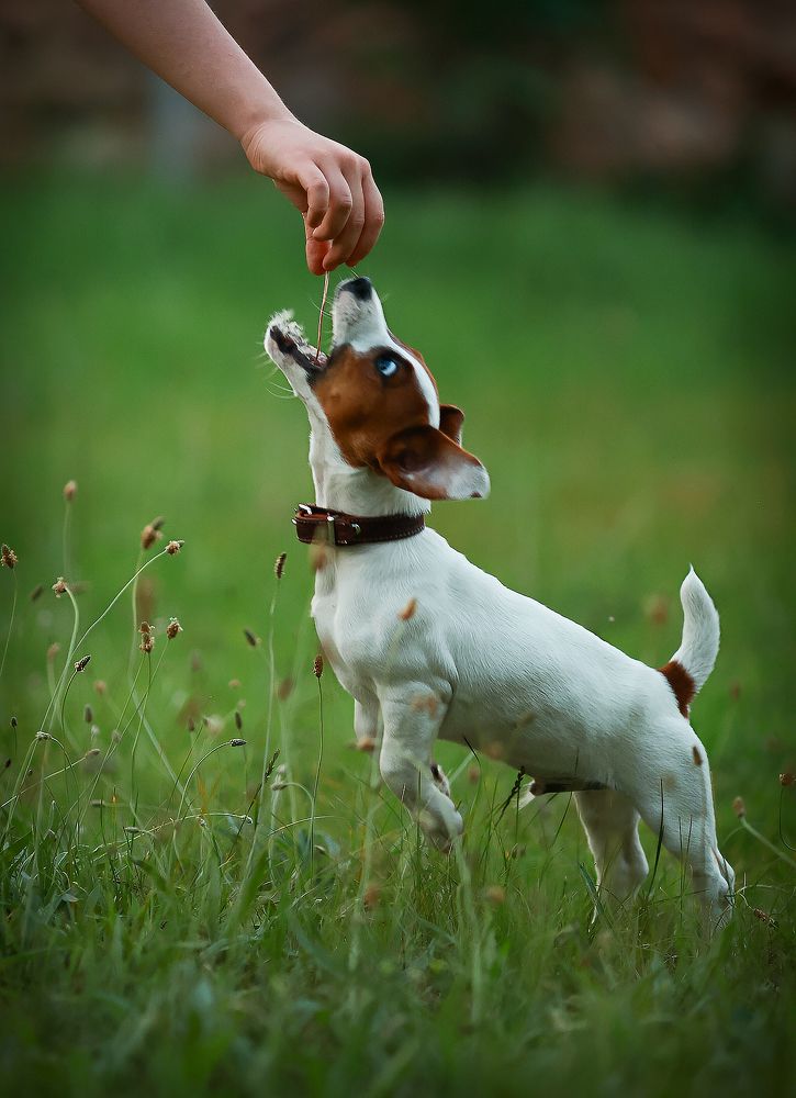 Фотография автора Анастасия Полякова