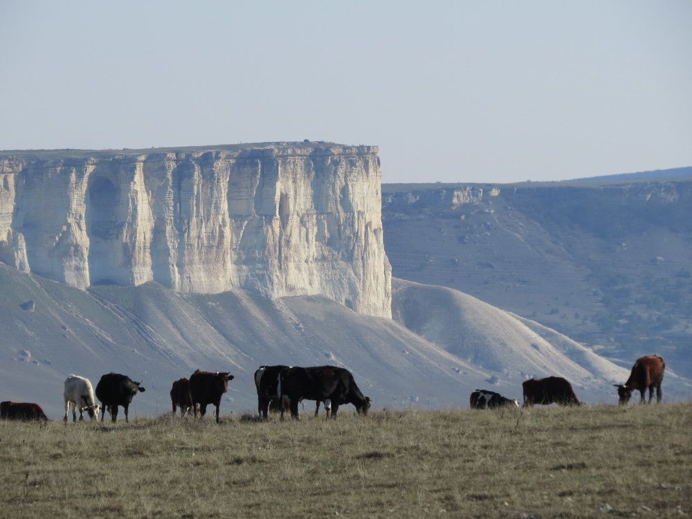 Photograph by Татьяна Стаскевич