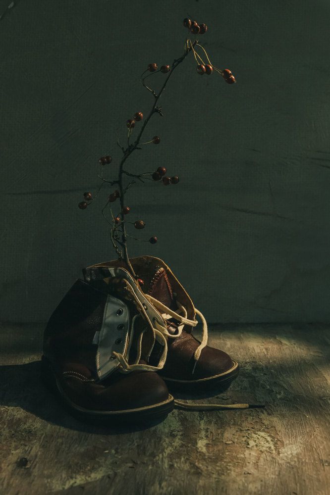 Photograph by Анастасия Тимарг