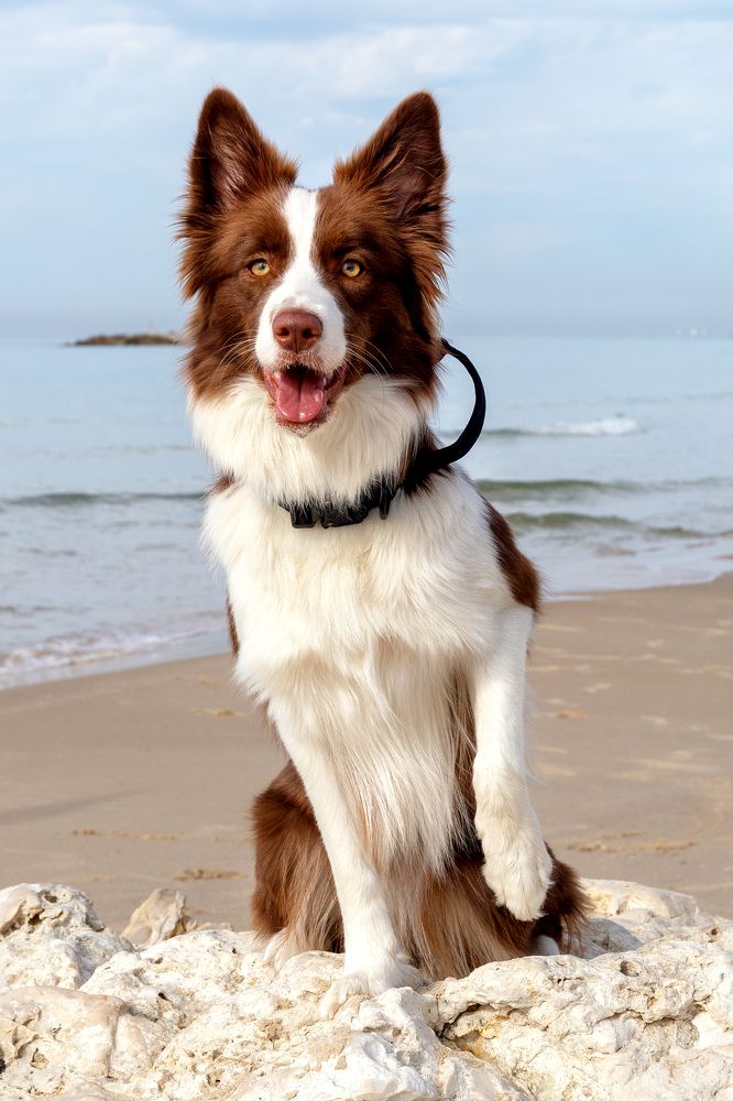 Photograph by Зоя Эль