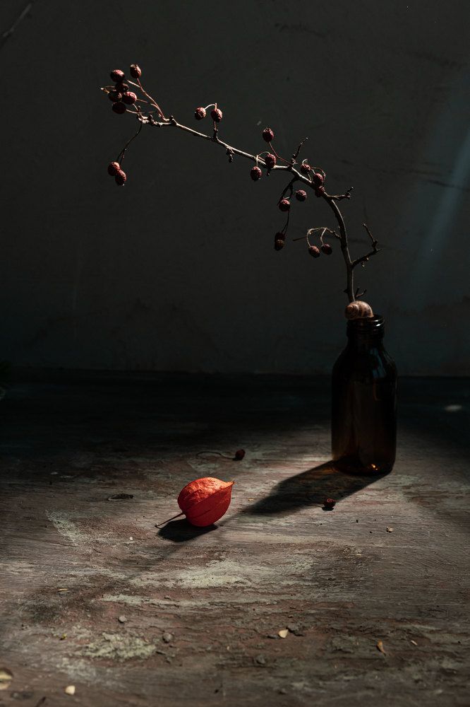 Photograph by Анастасия Тимарг