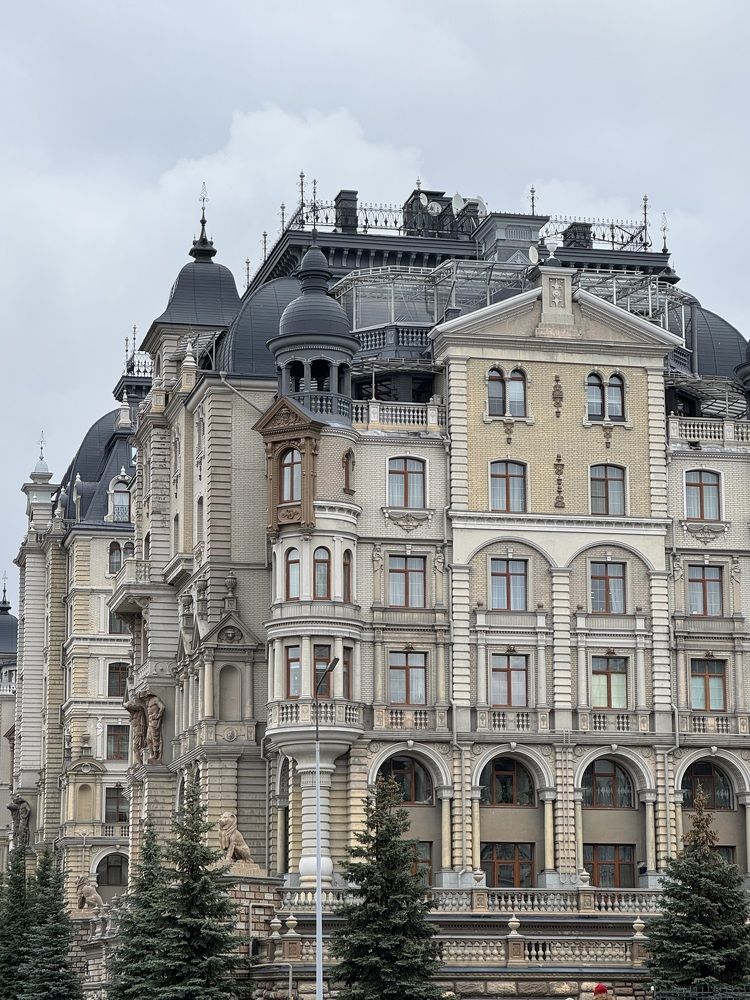 Photograph by софия Аверьянова