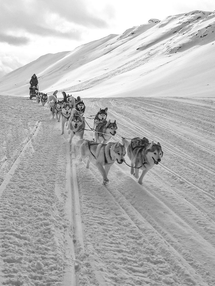 Photograph by Ольга Маклакова