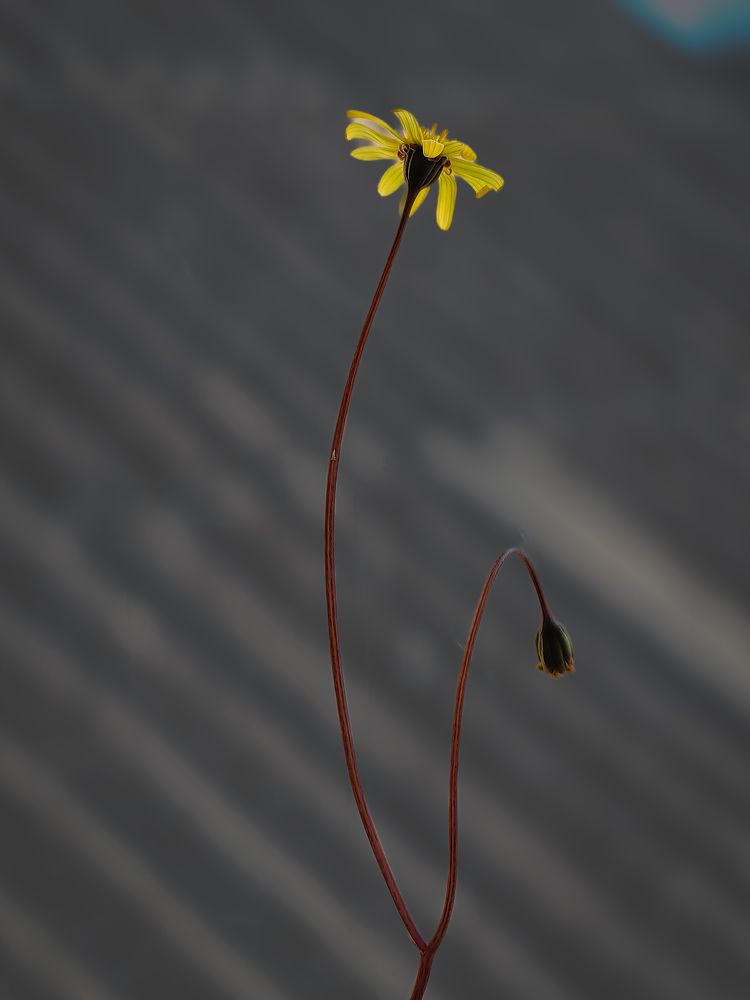 Photograph by Igor M.