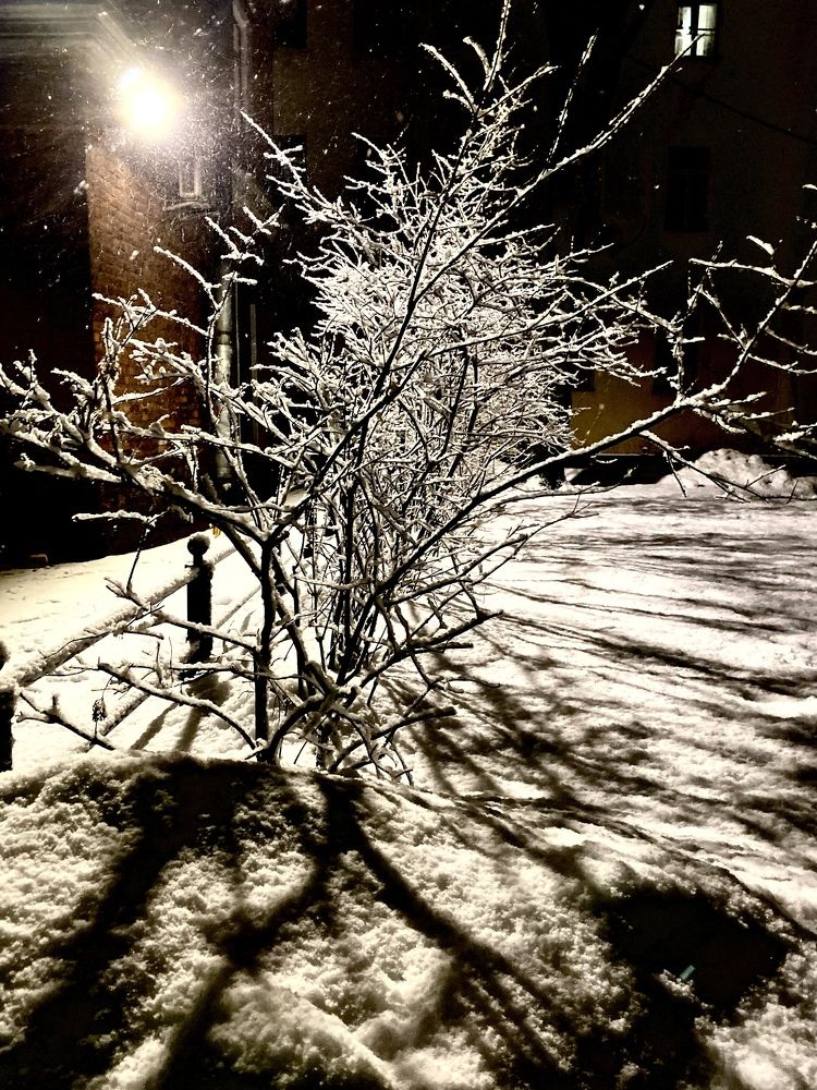 Photograph by Наталья Казачок