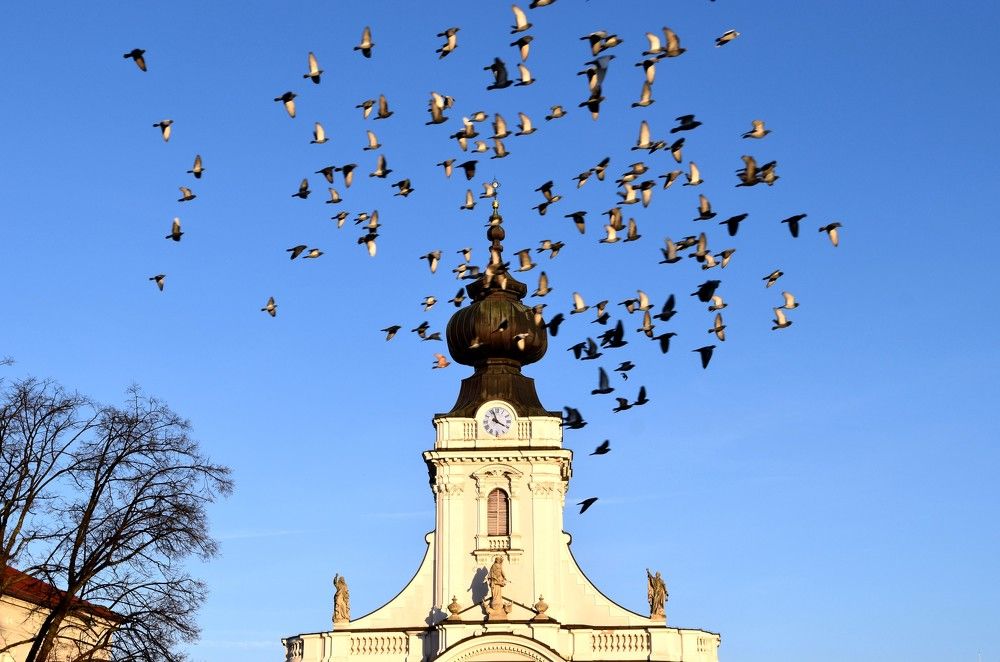 Photograph by Dawid Kalinowski