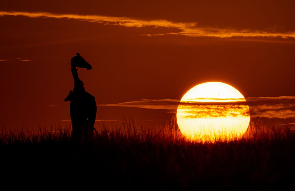 Photograph by nimalan subramaniam